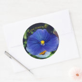 Sticker Rond Pensée bleue violette (Enveloppe)