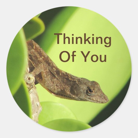 Sticker Rond Penser À Vous Mignonne Reptile Amitié Gecko (Devant)