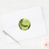 Sticker Rond Penser À Vous Mignonne Reptile Amitié Gecko (Enveloppe)