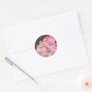 Sticker Rond Peoné rose sur gris foncé
