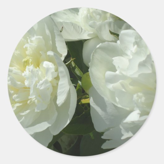 Sticker Rond Peonies blanches (Devant)