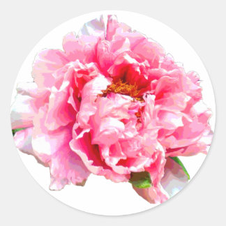 STICKER ROND PEONY ROSE