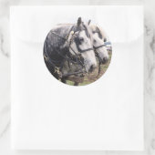 Sticker Rond Percheron Tandem (Sac)