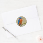 Sticker Rond Perching Kingfisher (Enveloppe)