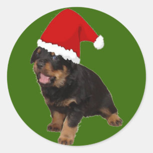 Sticker Rond Père Noël Baby