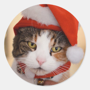 Sticker Rond Père Noël Kitty   Noël Pookie le chat