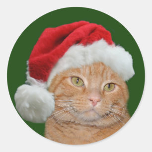 Sticker Rond Père Noël Paws