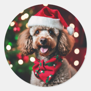 Sticker Rond Père Noël Poodle Noël Animaux Modèles photo de Noë