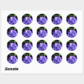 Sticker Rond Périwinkel hydrangeas violet bleu fleur floral (Feuille)