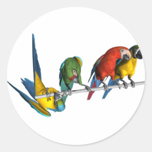 Sticker Rond Perroquet d'ara
