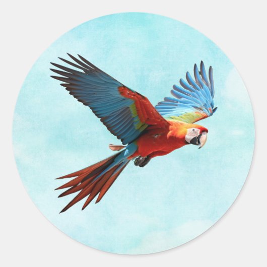 Sticker Rond Perroquet en vol, généré par l'IA, (Devant)