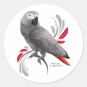 Sticker Rond Perroquet gris d'Afrique