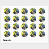 Sticker Rond Perruche (Feuille)