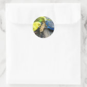 Sticker Rond Perruche (Sac)