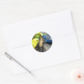 Sticker Rond Perruche (Enveloppe)