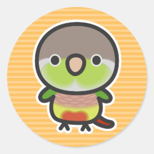 Sticker Rond Perruche à joues vertes / Ananas