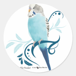 Sticker Rond Perruche bleue