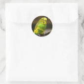 Sticker Rond Perruche Budgie anglaise personnalisée (Sac)