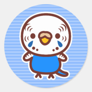 Sticker Rond Perruche ondulée / femelle cobalt normal