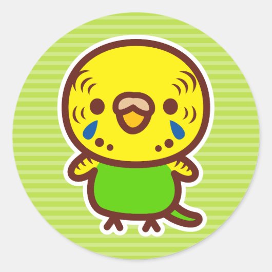 Sticker Rond Perruche ondulée / Femelle normale (Devant)
