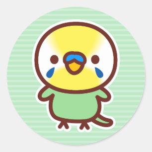 Sticker Rond Perruche / Pastel arc-en-ciel vert mâle