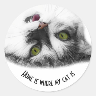 Sticker Rond Personnalisable Positive Cat