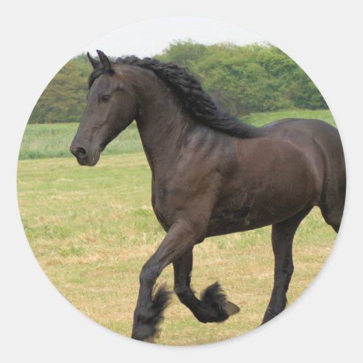 Sticker Rond Personnaliser (Devant)