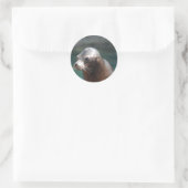 Sticker Rond Personnaliser (Sac)