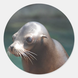 Sticker Rond Personnaliser