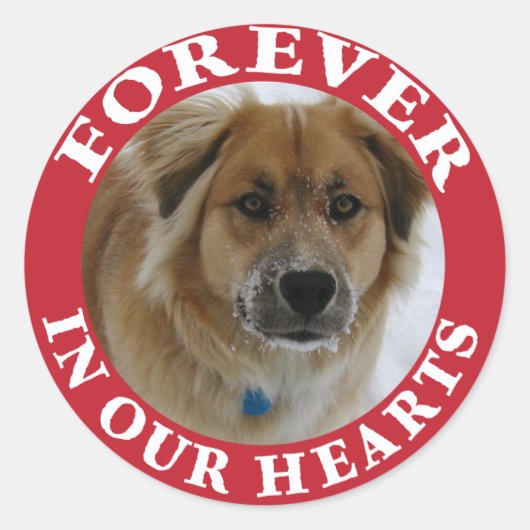 Sticker Rond Pet Memorial Forever (Devant)