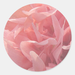 Sticker Rond Pétales de pavot rose