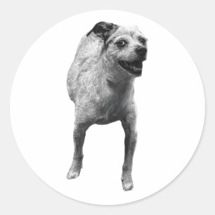 Sticker Rond Petit Autocollant, Grand Sourire