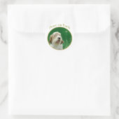 Sticker Rond Petit Basset Griffon Venden Paix (Sac)