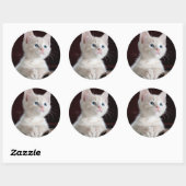 Sticker Rond Petit chaton blanc (Feuille)