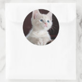 Sticker Rond Petit chaton blanc (Sac)