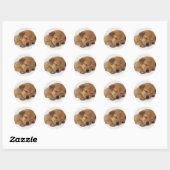 Sticker Rond Petit chiot mignon (Feuille)