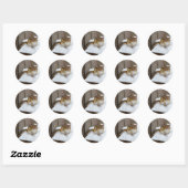 Sticker Rond Petit Chipmunk mignon dans la neige (Feuille)