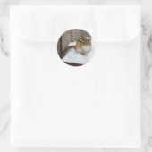 Sticker Rond Petit Chipmunk mignon dans la neige (Sac)