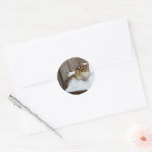 Sticker Rond Petit Chipmunk mignon dans la neige (Enveloppe)
