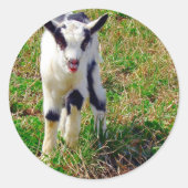 Sticker Rond Petit endroit (Devant)