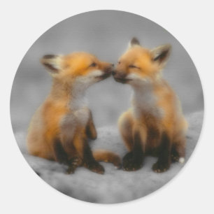 Sticker Rond Petit Fox Love