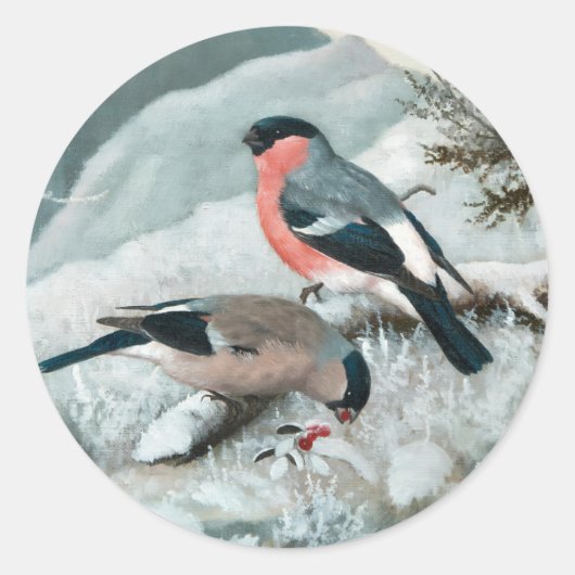 Sticker Rond Petit oiseau mignon - Bullfinch, Art (Devant)
