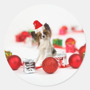 Sticker Rond Petit Papillon Chien Noël Santa Hat
