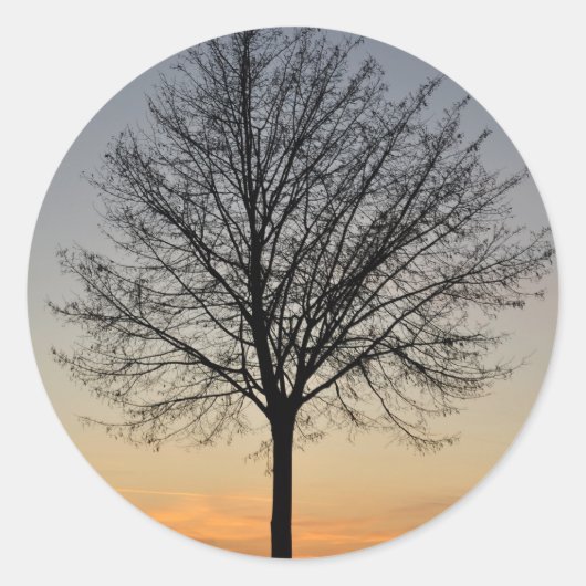 Sticker Rond petit paysage de couchers de soleil, Baum Sonnenun (Devant)