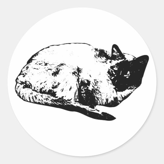 Sticker Rond Petit somme de chat, édition hiver (Devant)