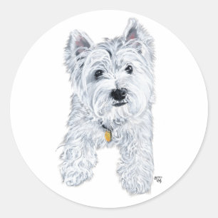 Sticker Rond Petit Westie curieux