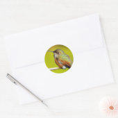 Sticker Rond Petite fille fisty : Colibri roux (Enveloppe)