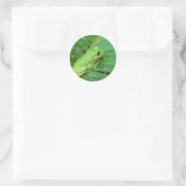 Sticker Rond Petite grenouille verte (Sac)