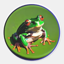 Petite grenouille verte sur un nénuphar #3
