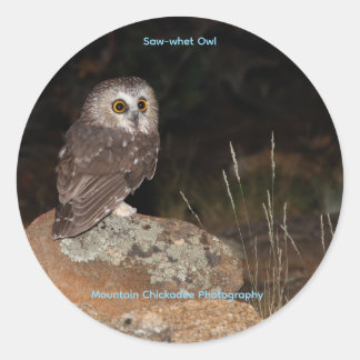 Sticker Rond Petite Nyctale